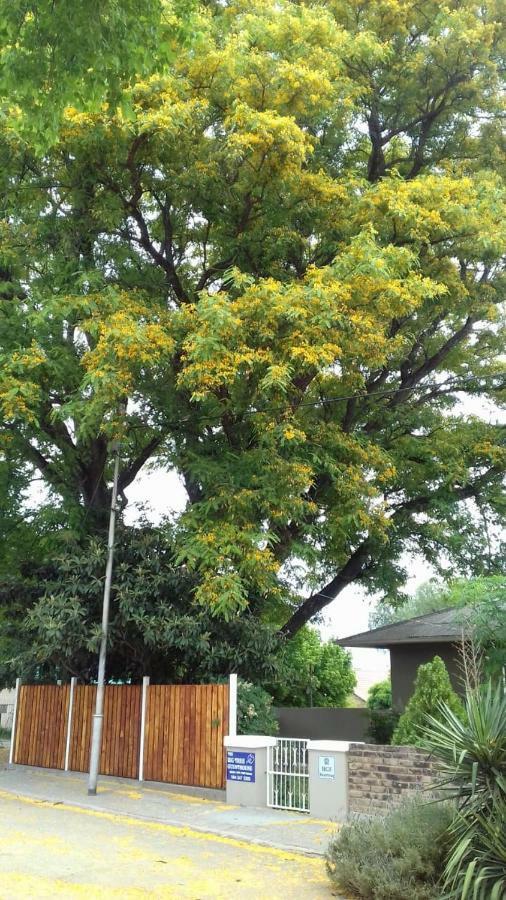 The Big Tree Guest House Hopetown Exterior foto